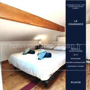 Le Charance - Duplex cœur de Gap - WIFI à Gap