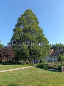 Gîte du Tilleul à Gap